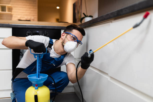 Best Wildlife Control Services  in Pomona, NJ