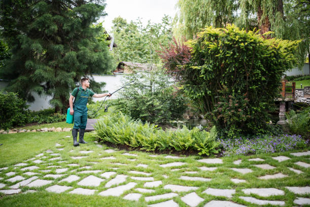 Best Bird Control  in Pomona, NJ