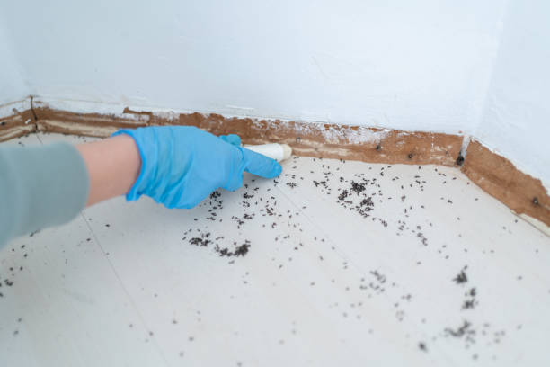 Pest Control for Restaurants in Pomona, NJ