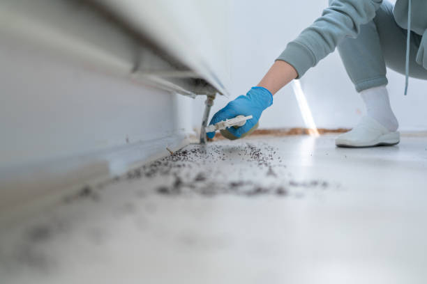 Best Cockroach Control Services  in Pomona, NJ