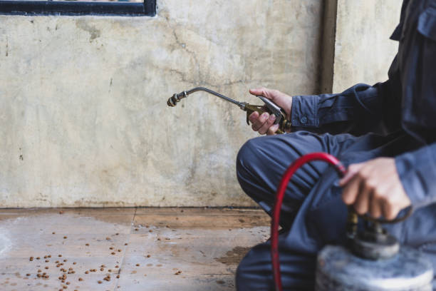 Best Pest Removal Services  in Pomona, NJ